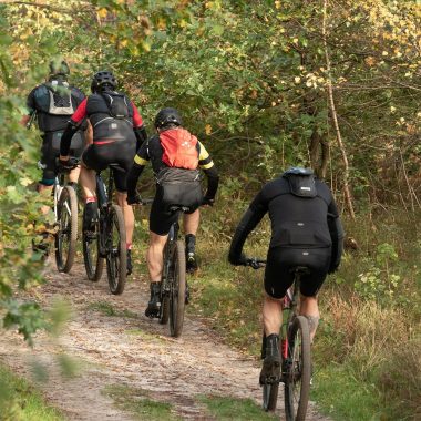 sabinevanerp-cyclists-5704420_1920